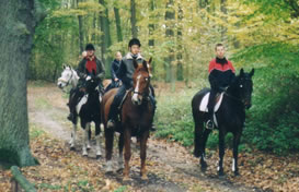 Ausreitgruppe im Wald