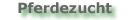 Pferdezucht