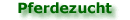 Pferdezucht