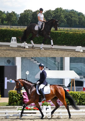 Farina b (oben) / Lucia B