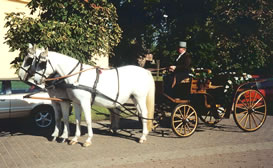 Hochzeitskutsche