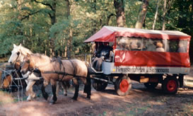 Kremserfahrt