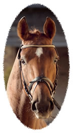 Golden Dancer B v. Goldk�fer